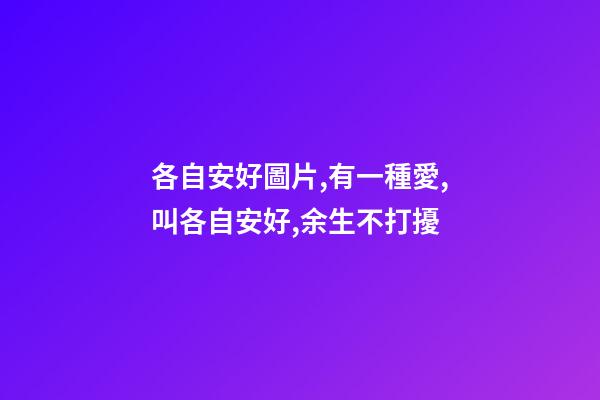 各自安好圖片,有一種愛,叫各自安好,余生不打擾-第1張-觀點-玄機派