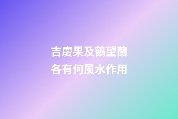 吉慶果及鶴望蘭各有何風水作用?