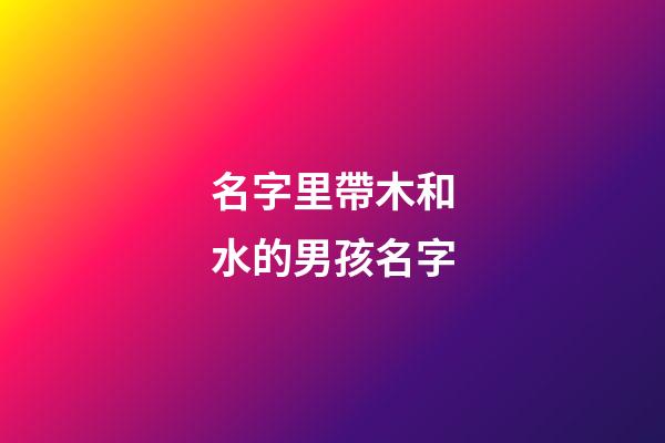 名字里帶木和水的男孩名字(有木和水的名字男孩)-第1張-男孩起名-玄機(jī)派