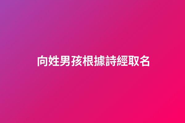 向姓男孩根據詩經取名(姓向的取名)-第1張-男孩起名-玄機派