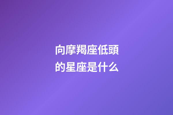 向摩羯座低頭的星座是什么-第1張-星座運勢-玄機派