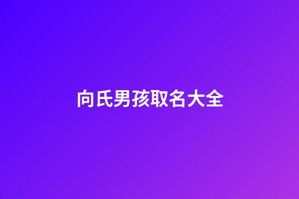向氏男孩取名大全(向氏男孩取名大全四個(gè)字)-第1張-男孩起名-玄機(jī)派