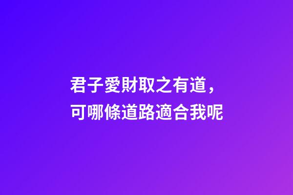 君子愛財取之有道，可哪條道路適合我呢?