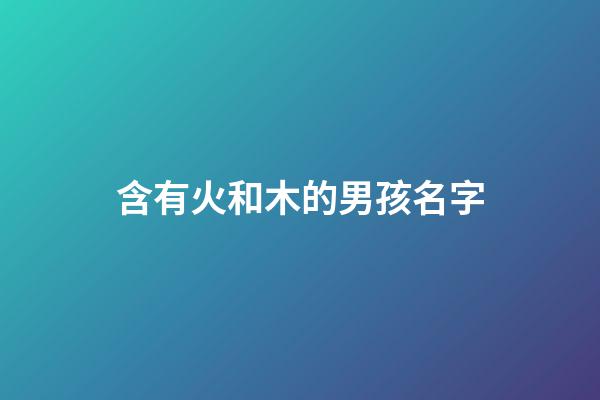 含有火和木的男孩名字(名字帶火和木的男孩名字)-第1張-男孩起名-玄機派