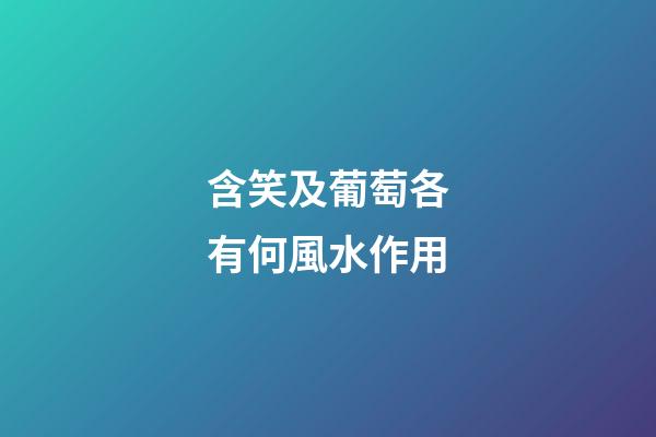 含笑及葡萄各有何風水作用?