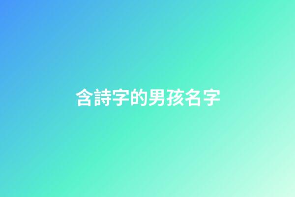 含詩字的男孩名字(含詩字的男孩名字大全)-第1張-男孩起名-玄機派