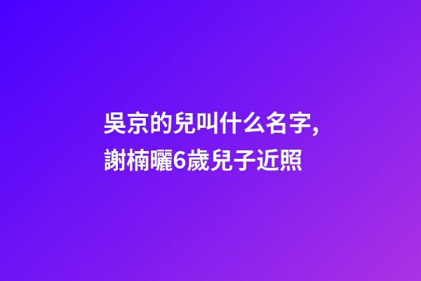 吳京的兒叫什么名字,謝楠曬6歲兒子近照-第1張-觀點-玄機派