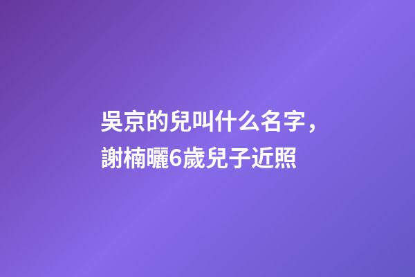 吳京的兒叫什么名字，謝楠曬6歲兒子近照-第1張-觀點-玄機派