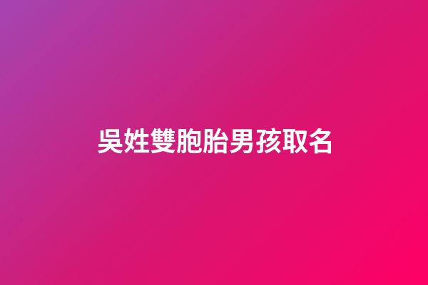 吳姓雙胞胎男孩取名(吳姓雙胞胎男孩名字)-第1張-男孩起名-玄機(jī)派