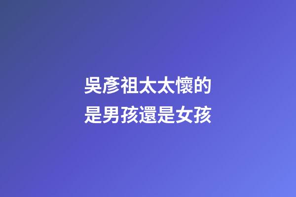 吳彥祖太太懷的是男孩還是女孩