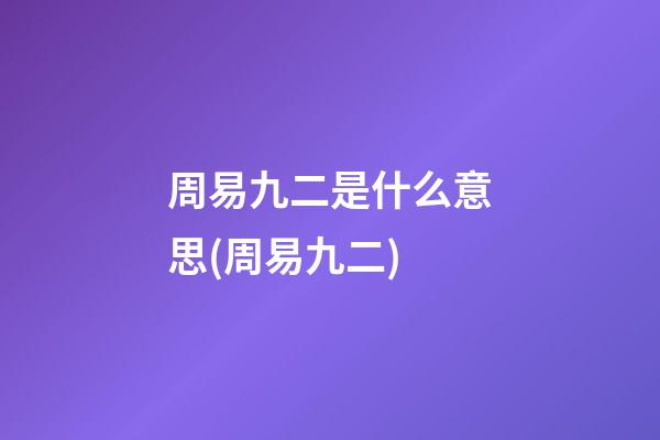 周易九二是什么意思(周易九二)