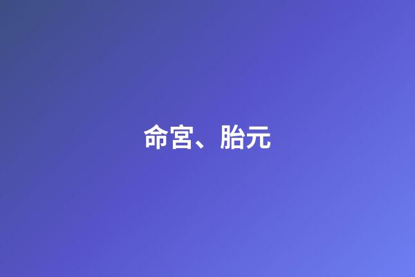命宮、胎元