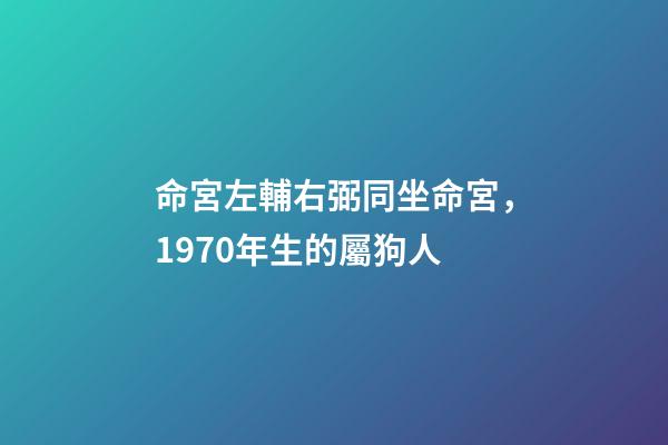 命宮左輔右弼同坐命宮，1970年生的屬狗人-第1張-觀點-玄機派