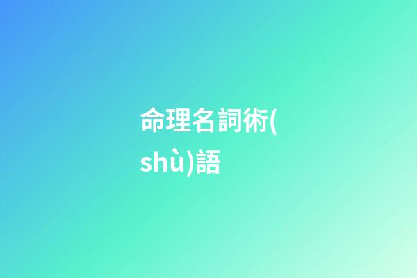命理名詞術(shù)語
