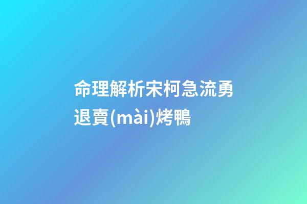 命理解析宋柯急流勇退賣(mài)烤鴨