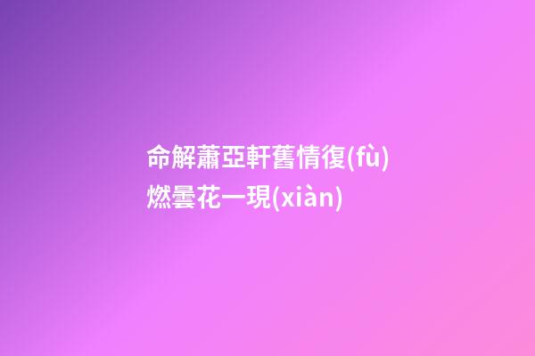 命解蕭亞軒舊情復(fù)燃曇花一現(xiàn)