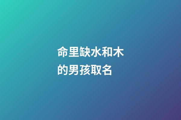 命里缺水和木的男孩取名(命里缺水和木取什么名字好)-第1張-男孩起名-玄機派