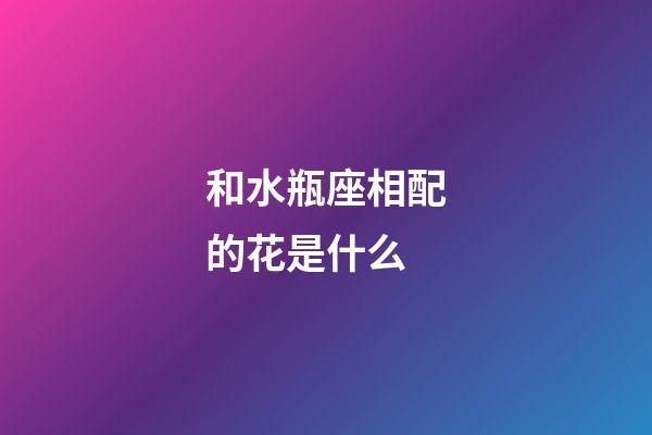 和水瓶座相配的花是什么-第1張-星座運(yùn)勢(shì)-玄機(jī)派