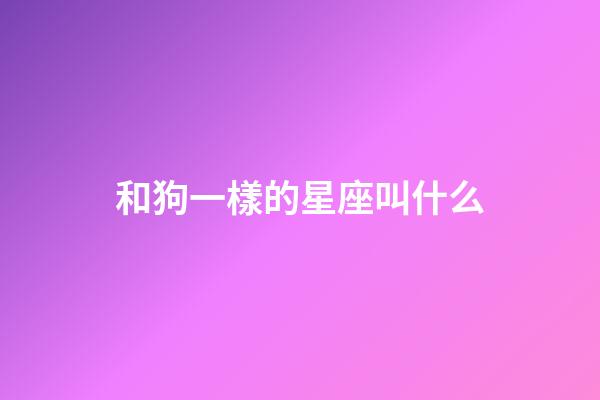 和狗一樣的星座叫什么-第1張-星座運勢-玄機派