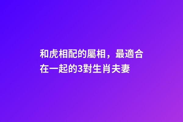 和虎相配的屬相，最適合在一起的3對生肖夫妻-第1張-觀點-玄機派