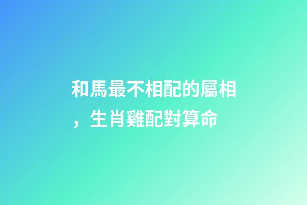和馬最不相配的屬相，生肖雞配對算命(建議收藏)-第1張-觀點-玄機派