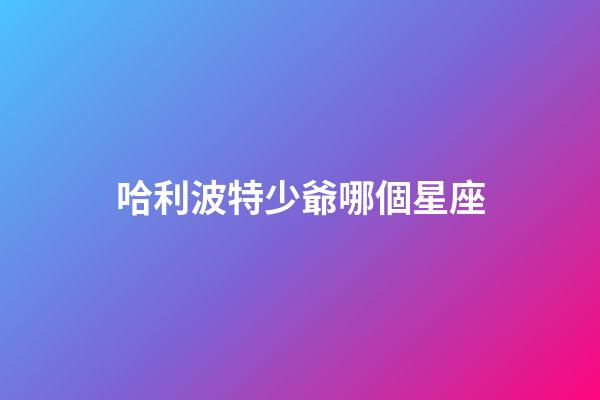 哈利波特少爺哪個星座