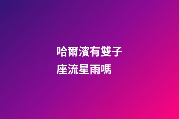 哈爾濱有雙子座流星雨嗎-第1張-星座運(yùn)勢-玄機(jī)派