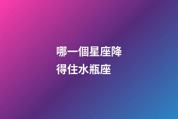哪一個星座降得住水瓶座-第1張-星座運勢-玄機派