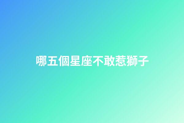 哪五個星座不敢惹獅子-第1張-星座運勢-玄機派