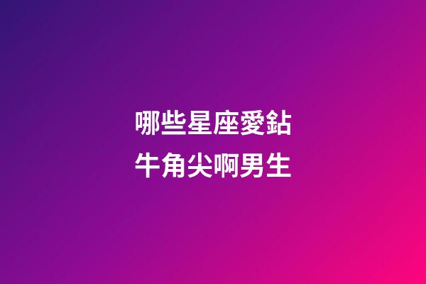 哪些星座愛鉆牛角尖啊男生-第1張-星座運勢-玄機(jī)派