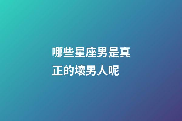 哪些星座男是真正的壞男人呢-第1張-星座運(yùn)勢(shì)-玄機(jī)派
