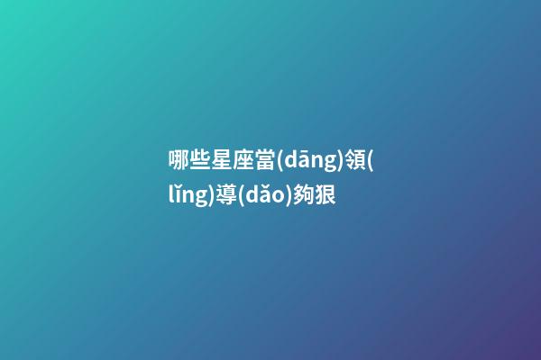 哪些星座當(dāng)領(lǐng)導(dǎo)夠狠-第1張-星座運(yùn)勢-玄機(jī)派