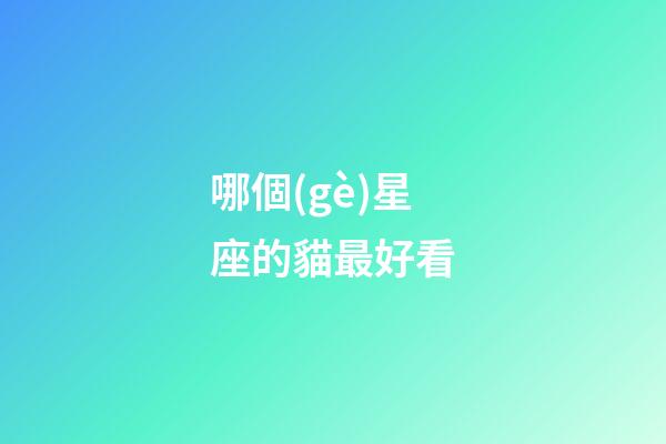 哪個(gè)星座的貓最好看-第1張-星座運(yùn)勢(shì)-玄機(jī)派