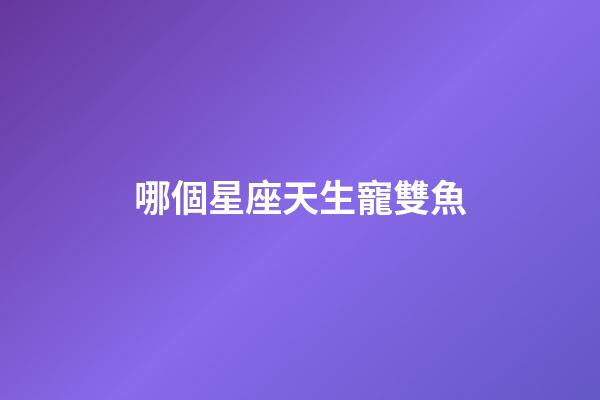 哪個星座天生寵雙魚-第1張-星座運勢-玄機派