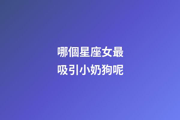 哪個星座女最吸引小奶狗呢-第1張-星座運勢-玄機派