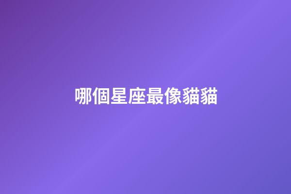哪個星座最像貓貓-第1張-星座運(yùn)勢-玄機(jī)派