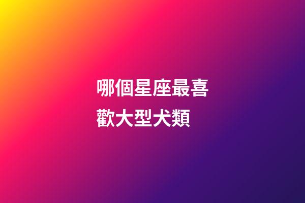 哪個星座最喜歡大型犬類-第1張-星座運勢-玄機派