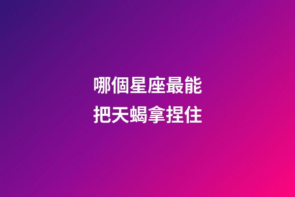 哪個星座最能把天蝎拿捏住-第1張-星座運勢-玄機派