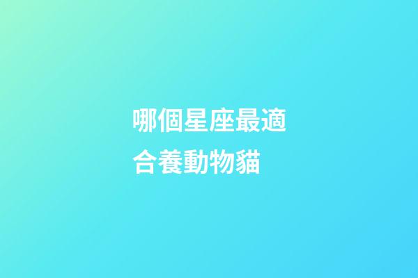 哪個星座最適合養動物貓-第1張-星座運勢-玄機派