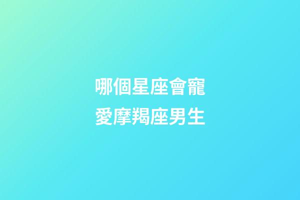 哪個星座會寵愛摩羯座男生-第1張-星座運勢-玄機派
