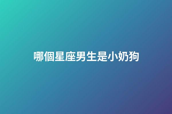 哪個星座男生是小奶狗-第1張-星座運勢-玄機派