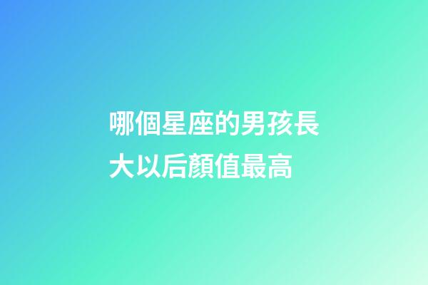 哪個星座的男孩長大以后顏值最高-第1張-星座運勢-玄機派