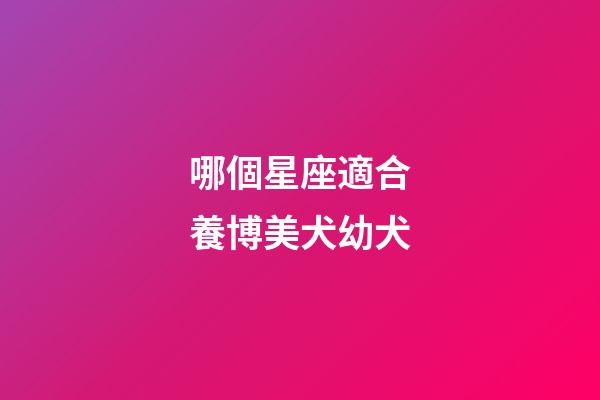 哪個星座適合養博美犬幼犬-第1張-星座運勢-玄機派