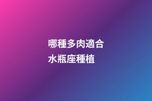 哪種多肉適合水瓶座種植-第1張-星座運(yùn)勢-玄機(jī)派