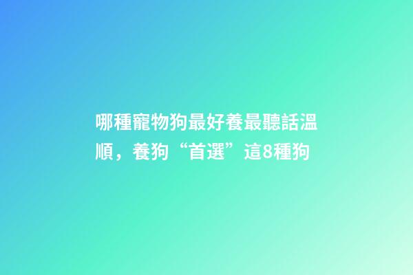 哪種寵物狗最好養最聽話溫順，養狗“首選”這8種狗-第1張-觀點-玄機派