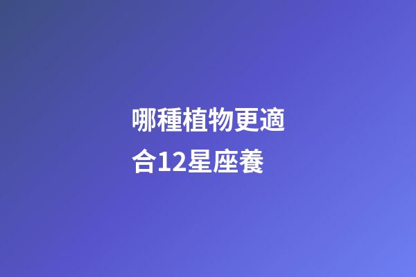 哪種植物更適合12星座養-第1張-星座運勢-玄機派