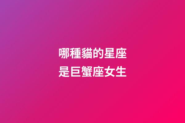 哪種貓的星座是巨蟹座女生