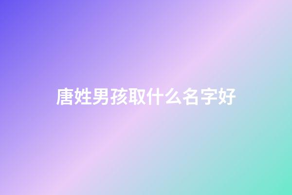 唐姓男孩取什么名字好(唐姓男寶寶取名字)-第1張-男孩起名-玄機派
