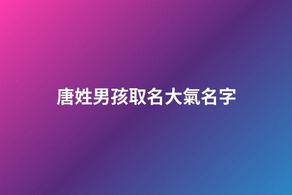 唐姓男孩取名大氣名字(唐姓男孩名字大全2023洋氣)-第1張-男孩起名-玄機派