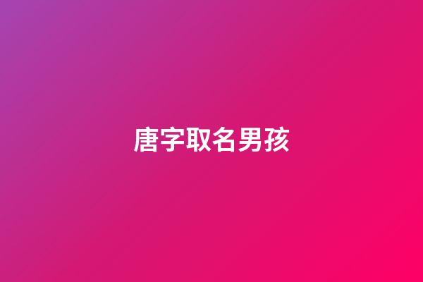 唐字取名男孩(唐字取名男孩有寓意的名字)-第1張-男孩起名-玄機派